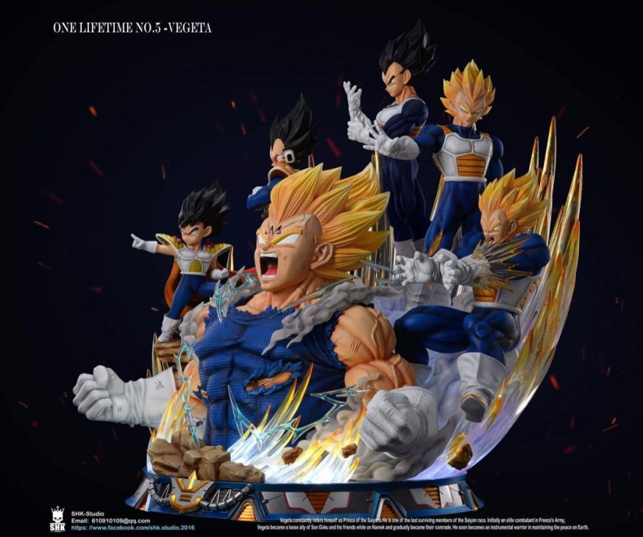 Anime Resins SHK Studio | >Pre Order< Shk Studio - Vegeta Lifetime